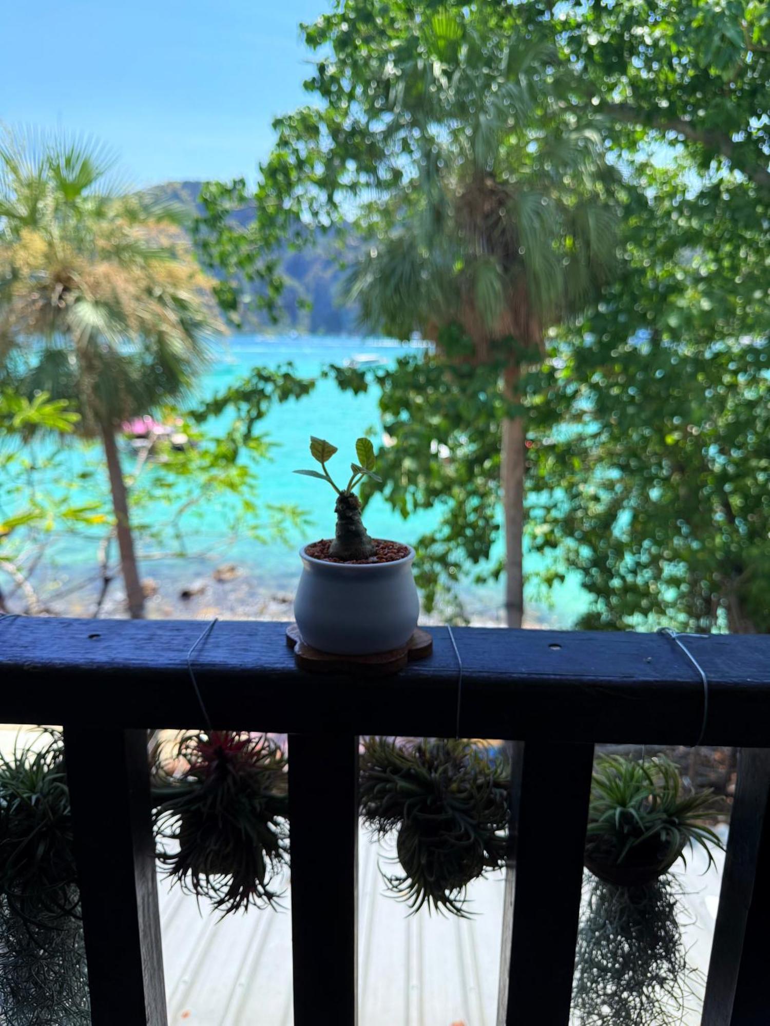 Mild Room Sea View Room For Rent 피피섬 외부 사진